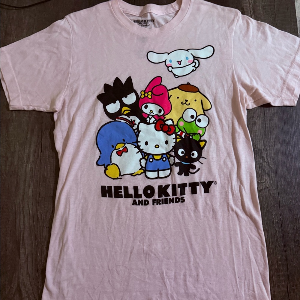 Sanrio Hello Kitty and Friends Pastel Pink Graphic Tee Size S